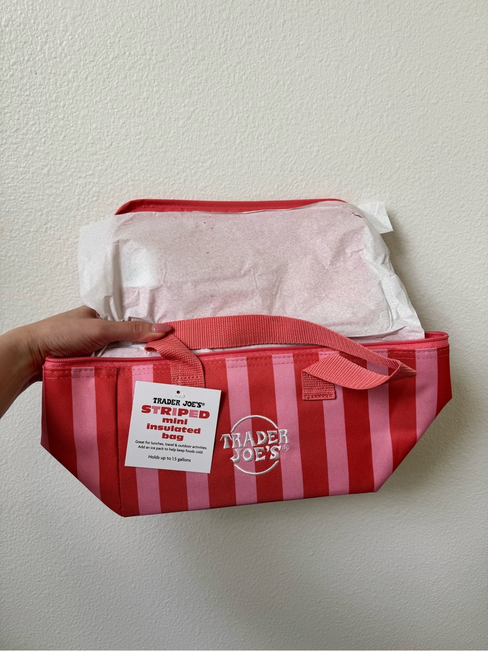 Trader Joe's Collectible Striped Insulated Mini Cooler Bag - Pink & Red
